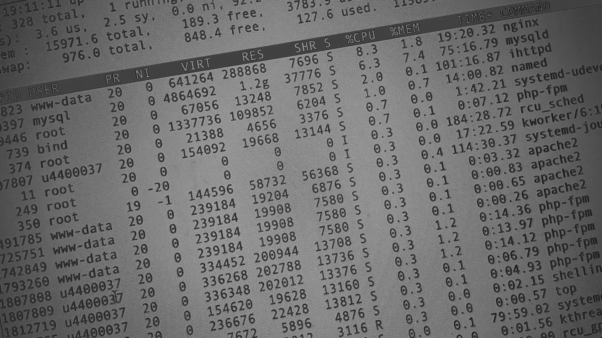 Настройка сервера в Ивантеевке