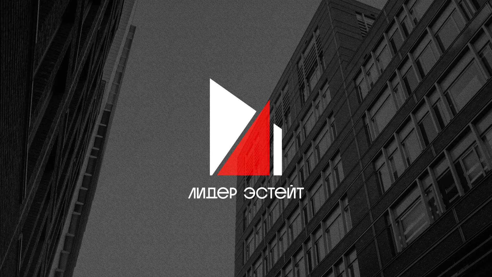 Сделали логотип для агентства недвижимости «Лидер Эстейт» в Ивантеевке